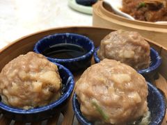 -点都德·毕德寮
