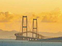 -宝安西湾红树林湿地公园