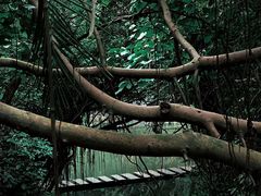 -燕晗山郊野公园