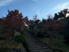 -四明山国家森林公园