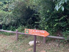 -狮子山郊野公园