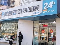 -纳吉亚猫专科动物医院·北北分院