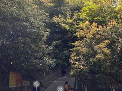 -峙山公园