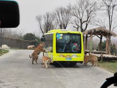 -西安秦岭野生动物园