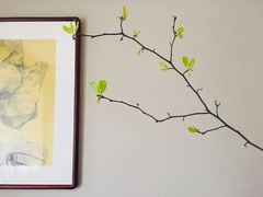 -见山茶事(丽水路店)