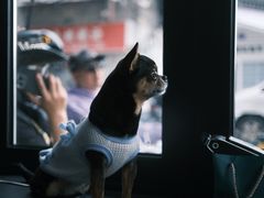 -解药·antidote Cafe&Bar