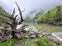 -叠溪松坪沟景区