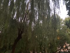 -方庄体育公园