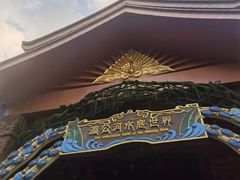 -西双版纳原始森林公园