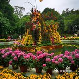 秋日胜春朝。如此绽放之美，怎能不撼动