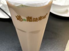 -猫的魔法密林(衣裳街店)