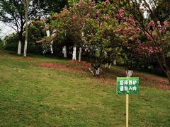 -铁山坪森林公园