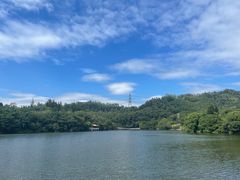 -深圳仙湖植物园