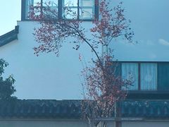 -圆通寺