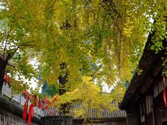 -金堂县云顶石城风景区