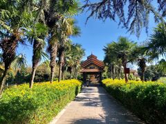 -云南民族村