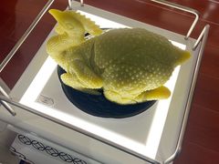 -广东省博物馆