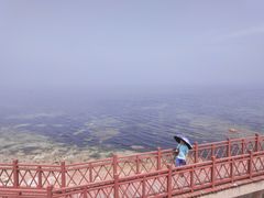 -海岛日记(养马岛店)