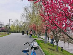 -东湖听涛景区