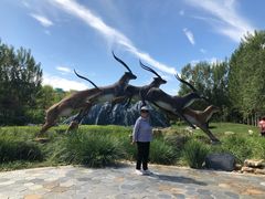 -武清南湖绿博园