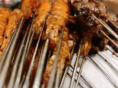 -鼎原力量东北吊炉烧烤(临河街店)