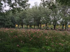 -汉景帝阳陵博物院