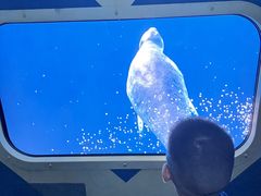 -珠海横琴国家地理探险家中心(创新方)