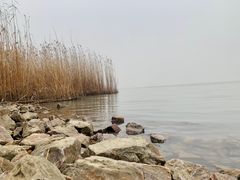 -东山风景区(洞庭东山)