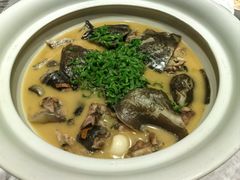 -华膳楼·安徽地标美食·中华餐饮名店(文化公园店)