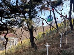 -崂山仰口游览区