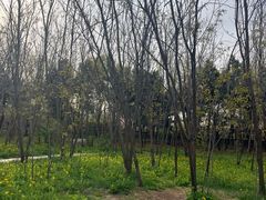 -北陵公园
