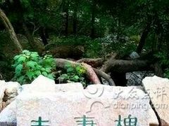 -井塘古村