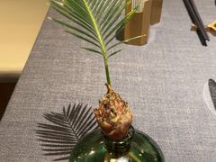 -南里山房(虹桥新天地店)