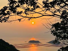 -花竹村