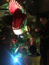 -恐龙探索乐园(磁器口店)