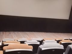-金逸影城(大悦城IMAX激光店)