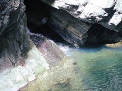 -牛背梁国家森林公园