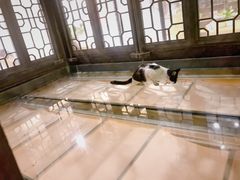 -猫的天空之城概念书店(杭州南宋御街店)