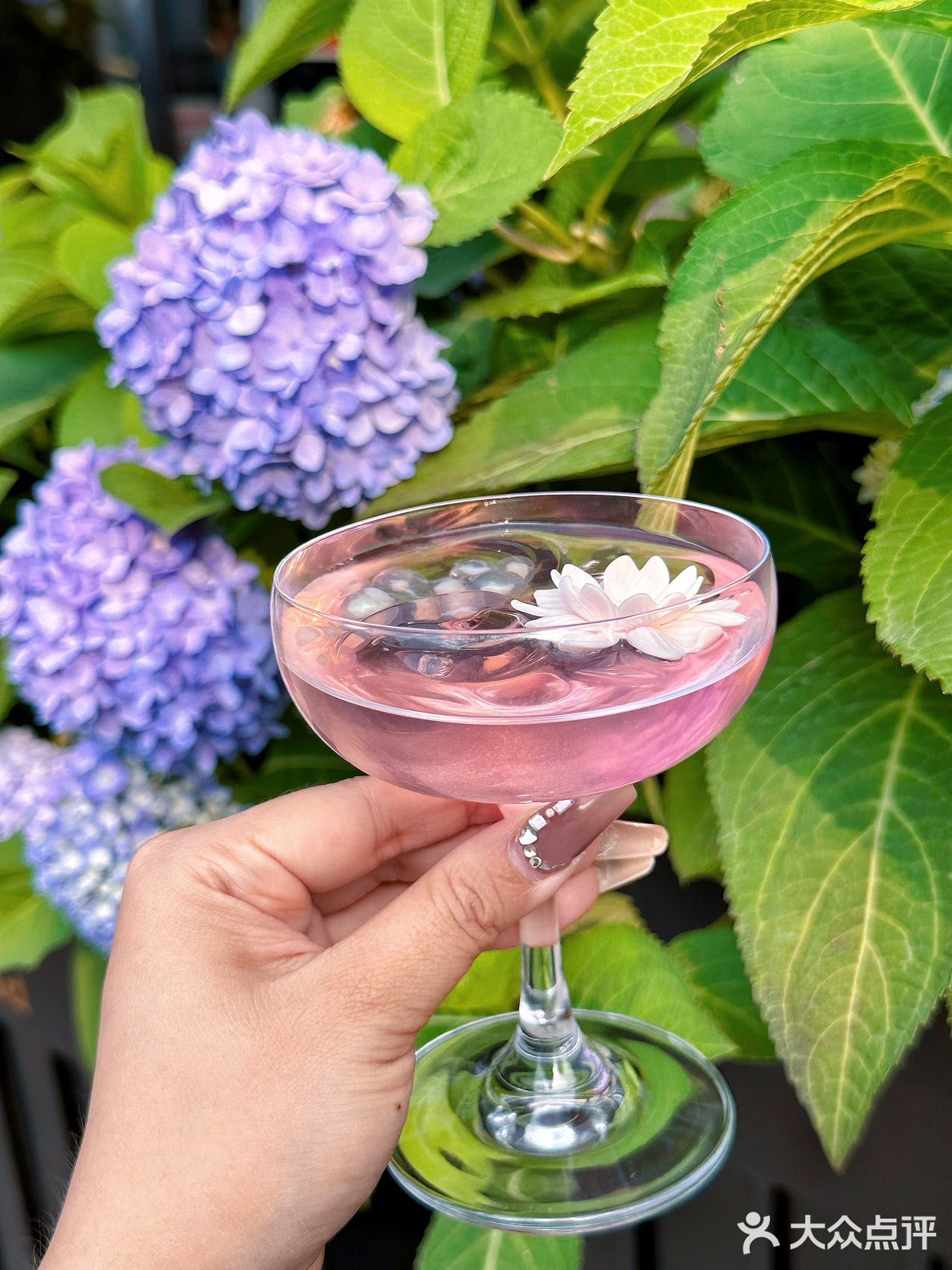 它唯一的缺点：北京三元桥限定……