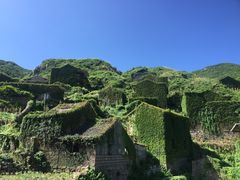 -枸杞岛