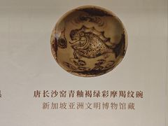 -四川宋瓷博物馆