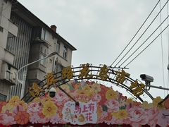 -溪岸路花鸟市场