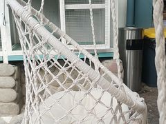 -喵屿·大理花园猫咖