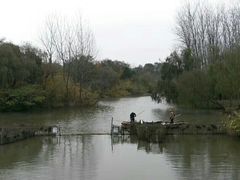 -溱湖国家湿地公园