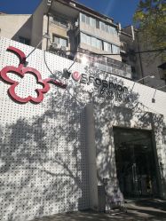 -逸丝风尚