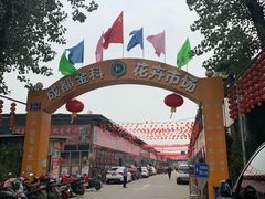 -金科花卉市场