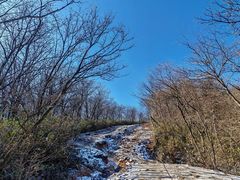 -杭州半山国家森林公园