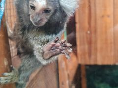 -上海昆虫博物馆