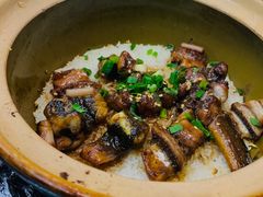-红星光发煲仔饭(文海店)