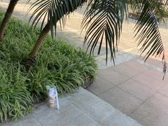 -纸上自习室(观音桥店)